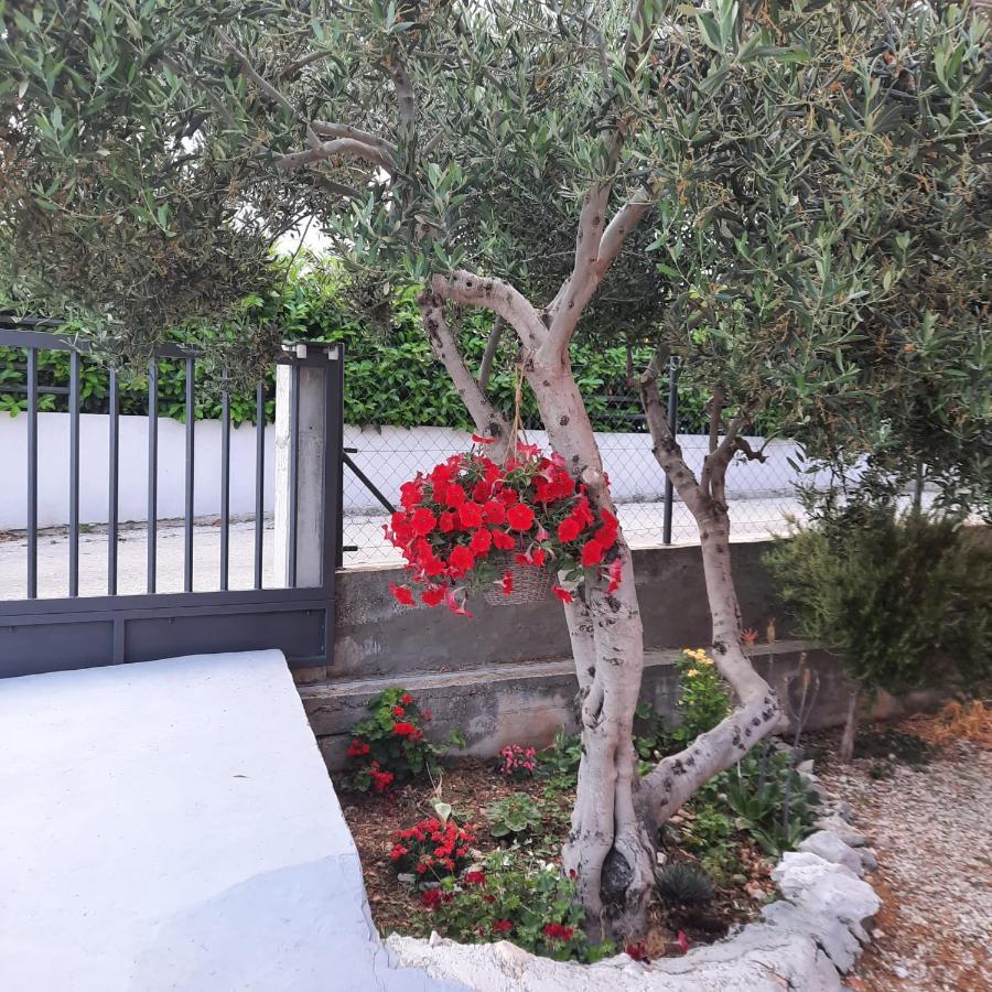 טרוגיר Studio Apartman Mare מראה חיצוני תמונה